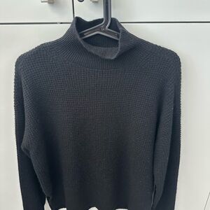 Everlane Charcoal Knit Turtleneck